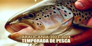 Temporada de Pesca Araucanía 2023-2024