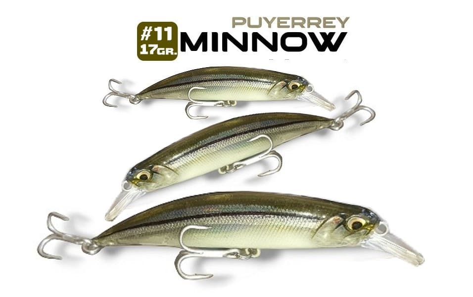 19 - Minnow Puyerrey