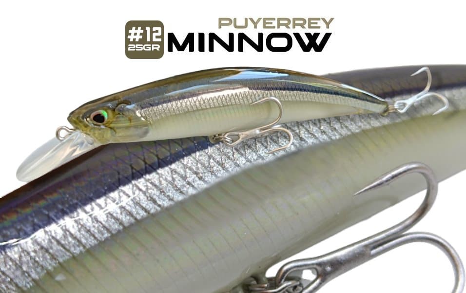 17 - Minnow Puyerrey