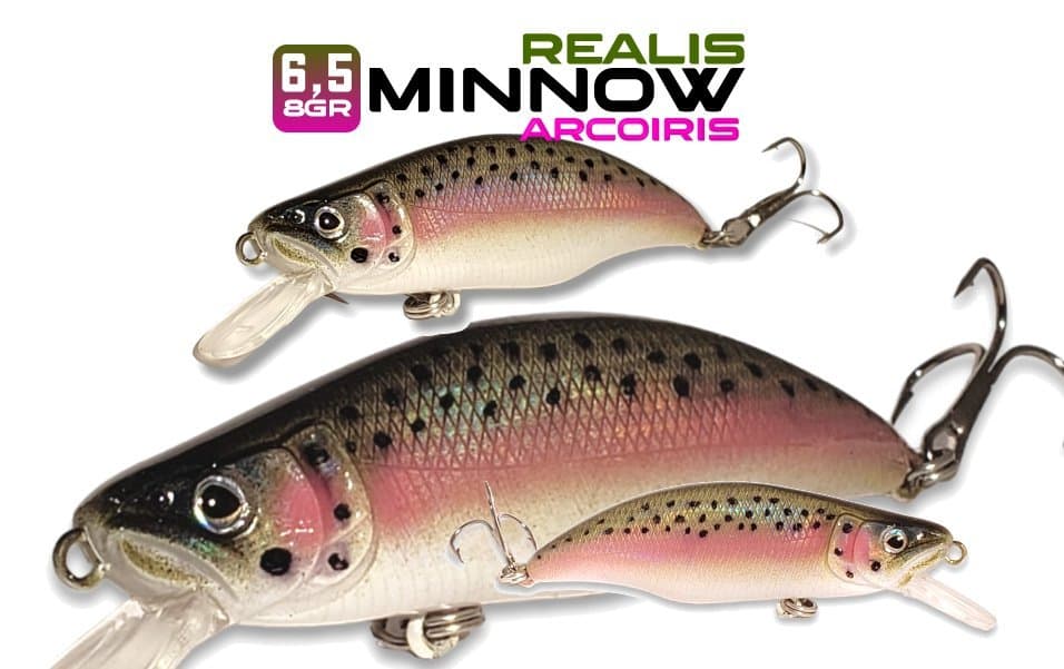 7 - Minnow Arcoíris Realis