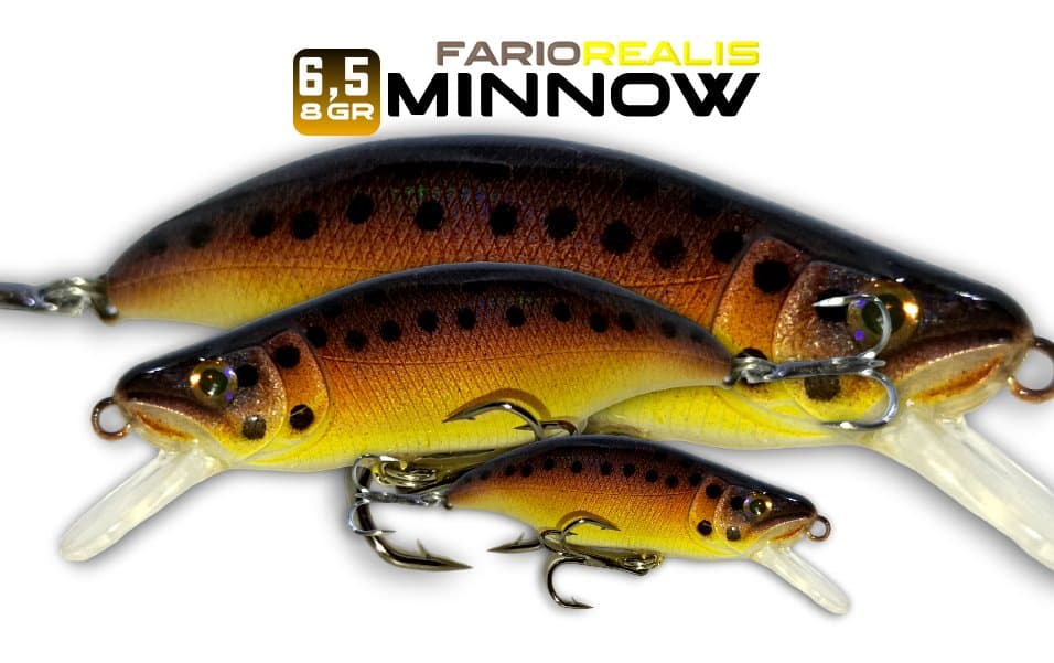 8 - Fario Realis 6,5cm