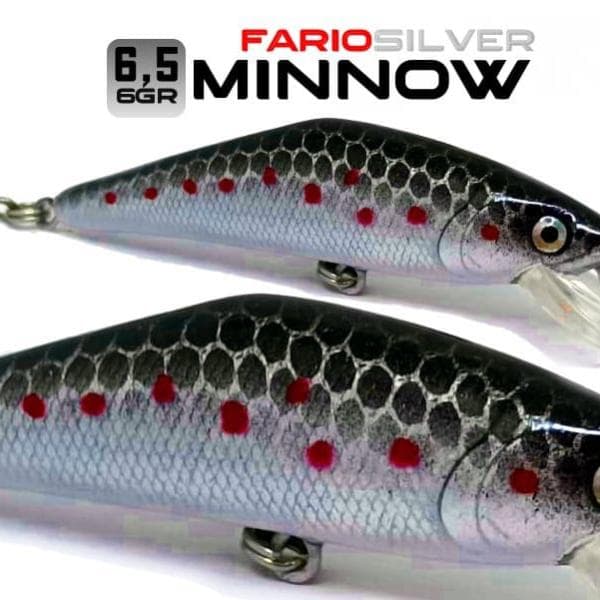 5 - Minnow Silver Fario