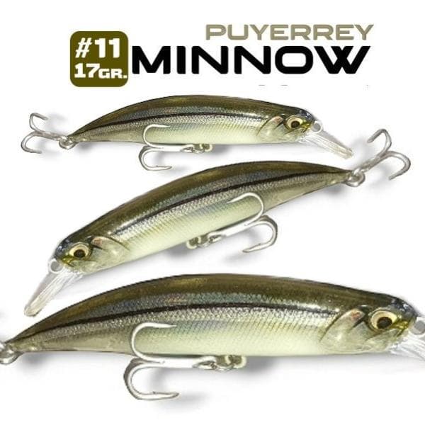 19 - Minnow Puyerrey