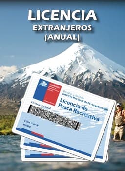 Licencia_extranjeros-anual