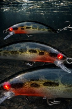 Minnow Bagre Dorado 8cm - 12gr.