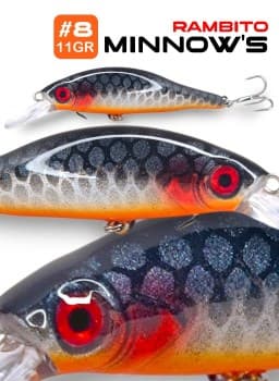 Minnow Sicario Rambito