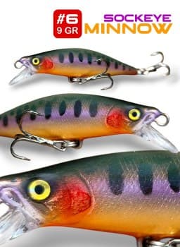 minnow_sockeye